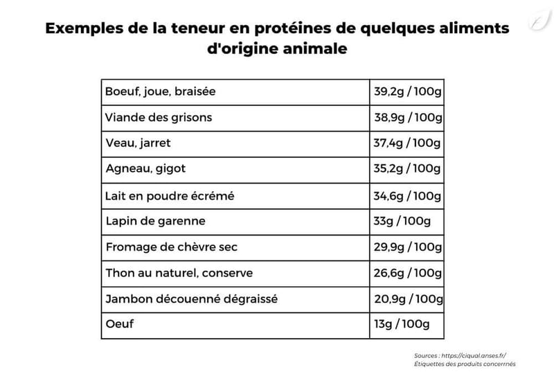 Les protéines (illustration 3)